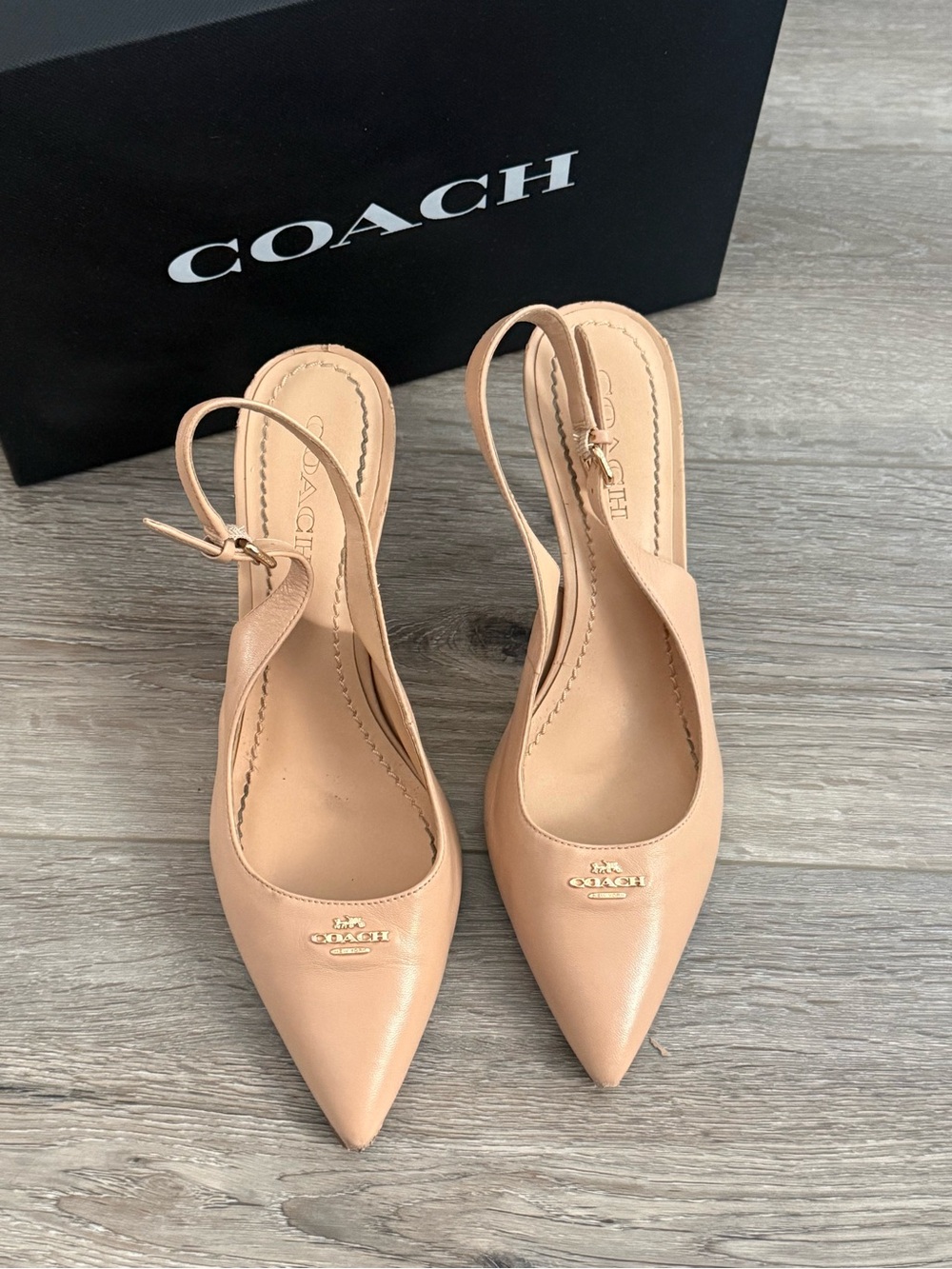 COACH Blush Nude Leather Pointed-Toe Slingback Heels